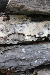 Gray stone blocks with soil and plants.

