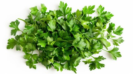 Obraz premium A neat bunch of fresh parsley leaves displayed against a white background, emphasizing their importance in adding flavor and garnish to various cuisines.