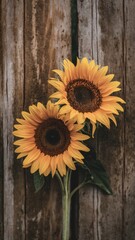 Two sunflowers are standing in front of a wooden fence, AI