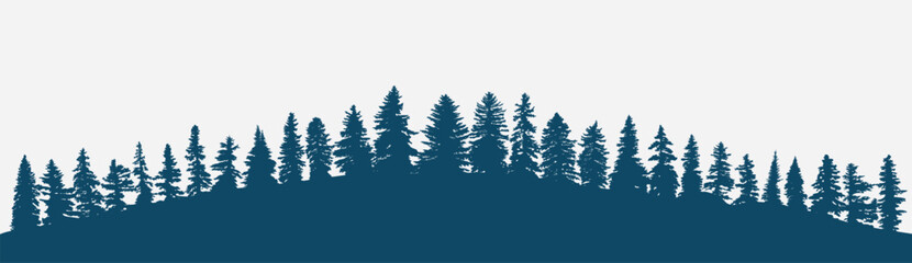 Obraz premium Coniferous forest background, panoramic forest silhouette