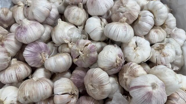 A pile of large heads of garlic