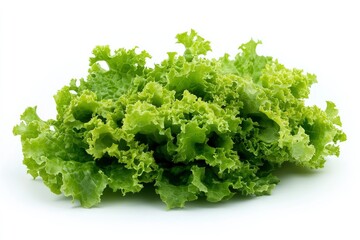 Obraz premium salad, lettuce leaf, isolated on white background, full depth of field, ai