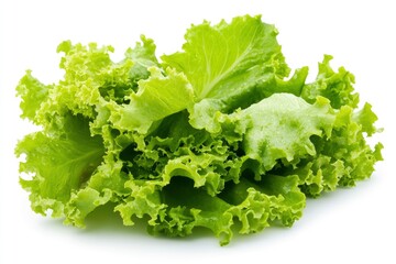 salad, lettuce leaf, isolated on white background, full depth of field, ai