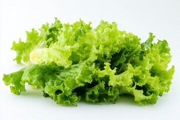 salad, lettuce leaf, isolated on white background, full depth of field, ai