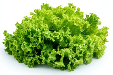 salad, lettuce leaf, isolated on white background, full depth of field, ai