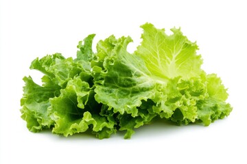 salad, lettuce leaf, isolated on white background, full depth of field, ai