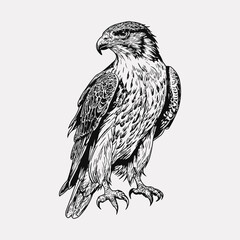 Eagle hand drawn artwork vector illustration
