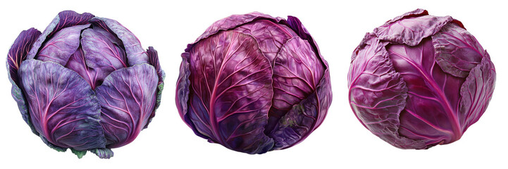 Obraz premium Three vibrant purple cabbages highlight their rich textures and colors, perfect for culinary or organic food themes. transparent background