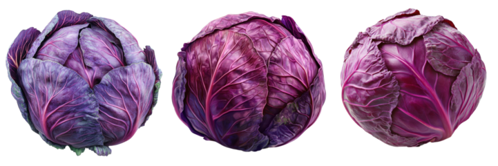 Three vibrant purple cabbages highlight their rich textures and colors, perfect for culinary or organic food themes. transparent background