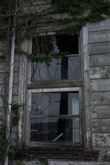 廃墟・蔓草が絡みつく窓 / 山口県大島郡周防大島町