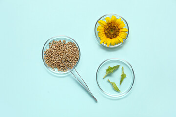 Petri dishes with sunflower, seeds and leaves on blue background