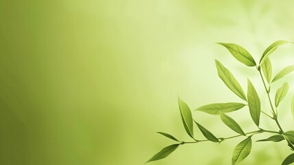 Refreshing and Modern Internet-Style Presentation Background with Olive Gradients for Clean and Invigorating Visual Appeal