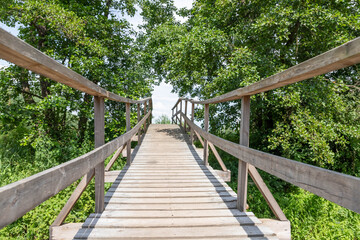 Obraz premium Bridge over the waterfall in Forest