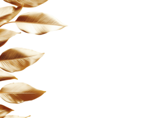 Golden Metallic Leaves On Transparent Background