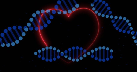DNA strands image over glowing red heart on black background