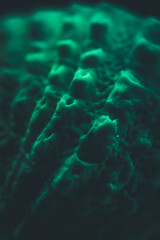 Close up macro photograph of a colourful, textured seashell against a dark background.