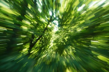 Obraz premium A blurred image of a dense forest with tall trees, great for backgrounds or nature scenes