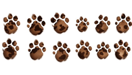 Paw Prints In A Row Isolated On Transparent Background