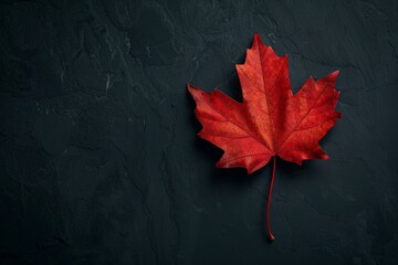 red maple leaf