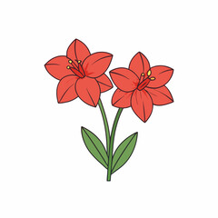Amaryllis vector illustration, red lily flower vector art, Amaryllis silhouette, flowers vector icon, eps, red lily flowers, plant Amaryllis