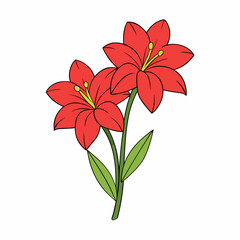Amaryllis vector illustration, red lily flower vector art, Amaryllis silhouette, flowers vector icon, eps, red lily flowers, plant Amaryllis
