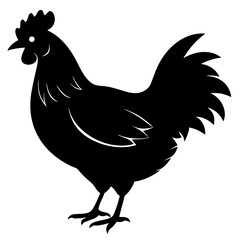 chicken isolated on white, chicken vector illustration, pet vector art, chicken silhouette, rooster  vector icon, eps, baby hen