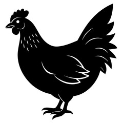 chicken isolated on white, chicken vector illustration, pet vector art, chicken silhouette, rooster  vector icon, eps, baby hen