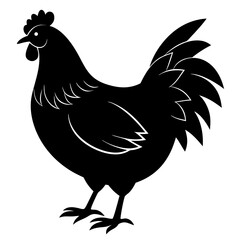 chicken isolated on white, chicken vector illustration, pet vector art, chicken silhouette, rooster  vector icon, eps, baby hen