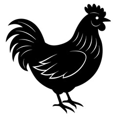 chicken isolated on white, chicken vector illustration, pet vector art, chicken silhouette, rooster  vector icon, eps, baby hen