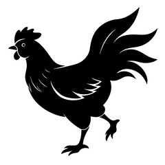 chicken isolated on white, chicken vector illustration, pet vector art, chicken silhouette, rooster  vector icon, eps, baby hen