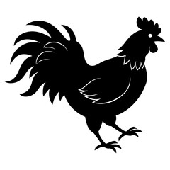chicken isolated on white, chicken vector illustration, pet vector art, chicken silhouette, rooster  vector icon, eps, baby hen