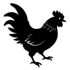 chicken isolated on white, chicken vector illustration, pet vector art, chicken silhouette, rooster  vector icon, eps, baby hen