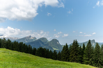 Panoramablick auf die Allgäuer Alpen.