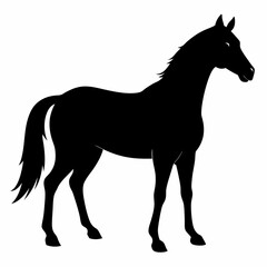 horse silhouette isolated on white, horse vector illustration, pet vector art, horses silhouette, animal vector icon, eps