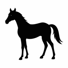 horse silhouette isolated on white, horse vector illustration, pet vector art, horses silhouette, animal vector icon, eps