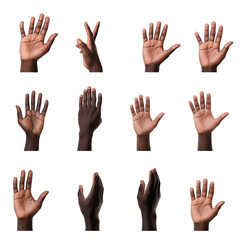 Obraz premium Set Of Diverse Hands Making Various Gestures Isolated On Transparent Background