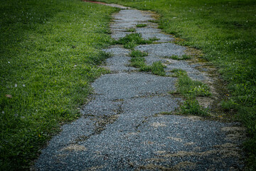 A cracked and overgrown pathway meanders through a park, bordered by lush green grass. The uneven surface and natural surroundings create a rustic scene