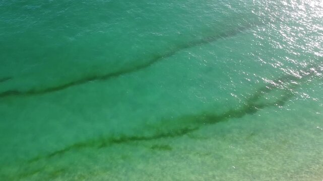 Aerial view of the beautiful turquoise sea with algae in Comporta, Portugal