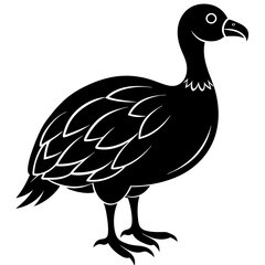 Dodo bird isolated on a white background