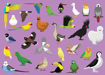 Birds Exotic Pet Cartoon Vector Illustration Isolated Character Set
