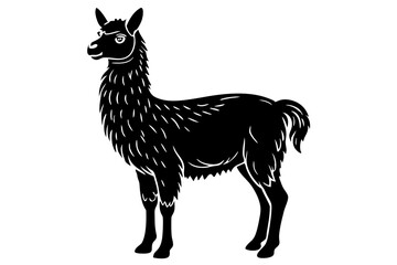 Black Alpaca Silhouette Vector, lama silhouette