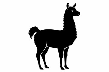 Black Alpaca Silhouette Vector, lama silhouette © Trendy CraftSVG 