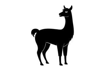  Lama Silhouette,  Vector of lama standing side view black silhouette    © Trendy CraftSVG 