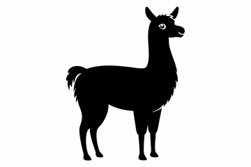 Black Alpaca Silhouette Vector, lama silhouette