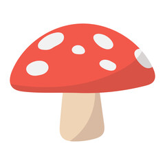 fly agaric mushroom