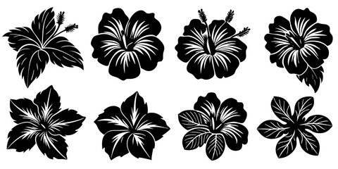 Beautiful Hibiscus Flower Art on White Background for Modern Decor, Fresh Hibiscus Flower Illustrations.