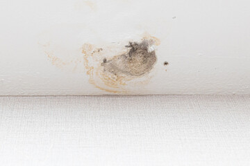 Ceiling stain and cracked and mold after air conditioner has water drop leak.