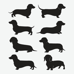 Dachshund dog silhouette set animals vector template illustration