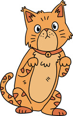 A cat with a collar is sitting on the ground