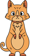 Obraz premium A cat with a collar is sitting on the ground